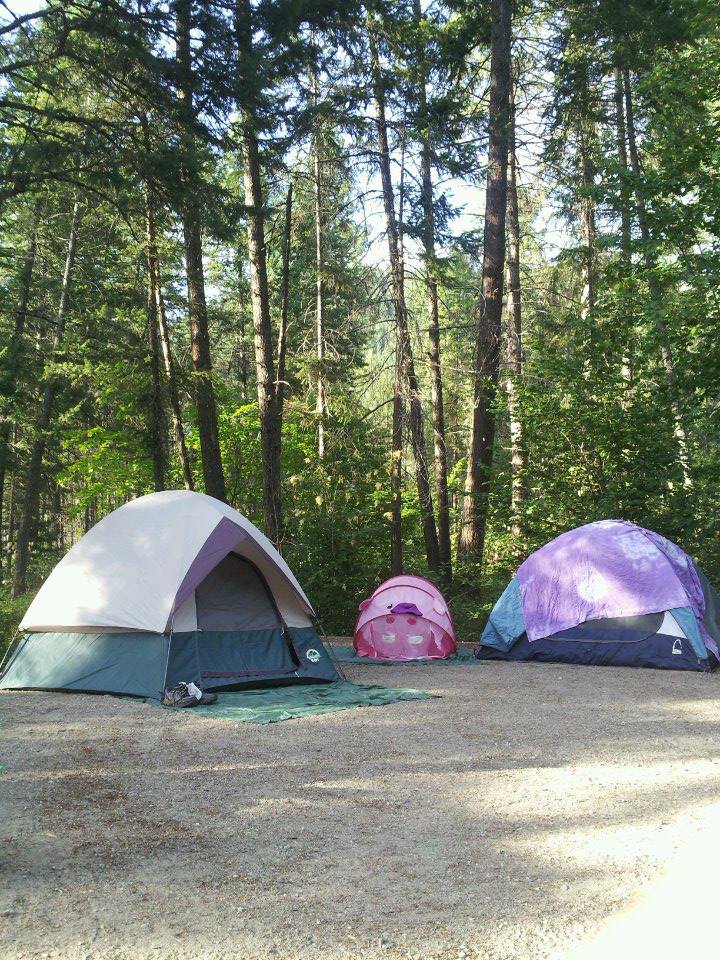 Tents are set up in campground