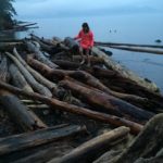 Exploring on the driftwood