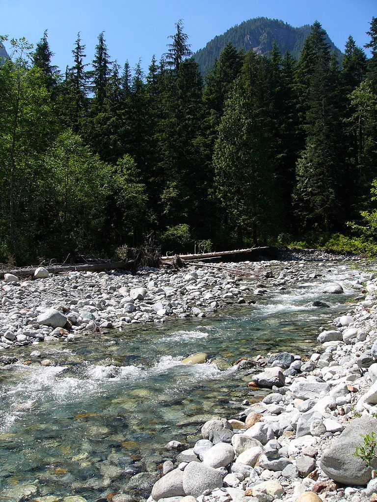 Lynn Headwaters Regional Park by Philippe Giabbanelli