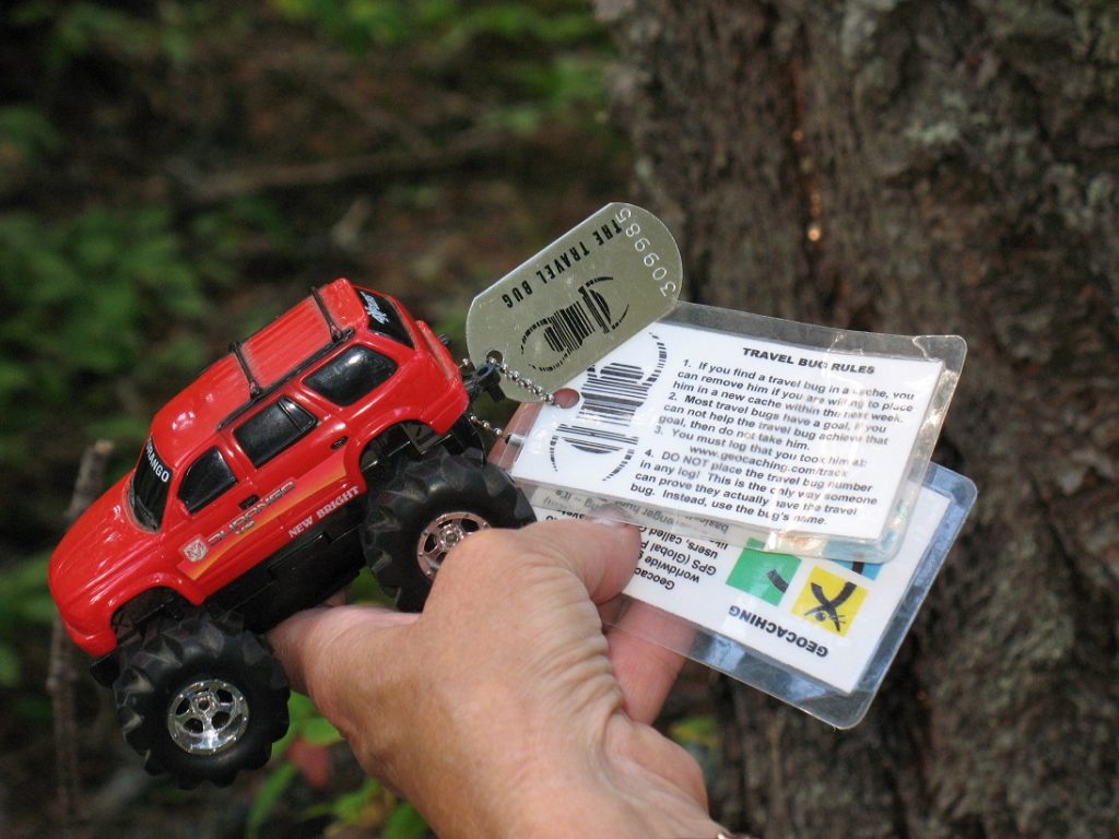 Travel Bug Found at Nairn Falls Campground