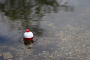 Float Fishing. Photo by Tanya Laird
