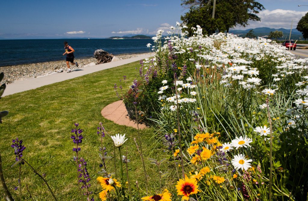 Sechelt Waterfront Photo: Province of BC