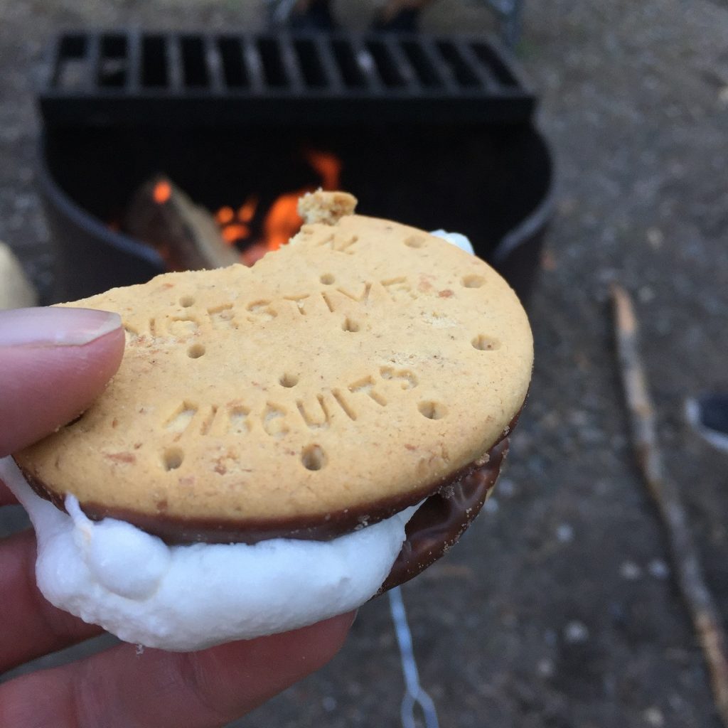Camping Staple the Smore
