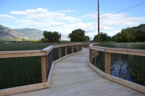 Osoyoos Oxbows