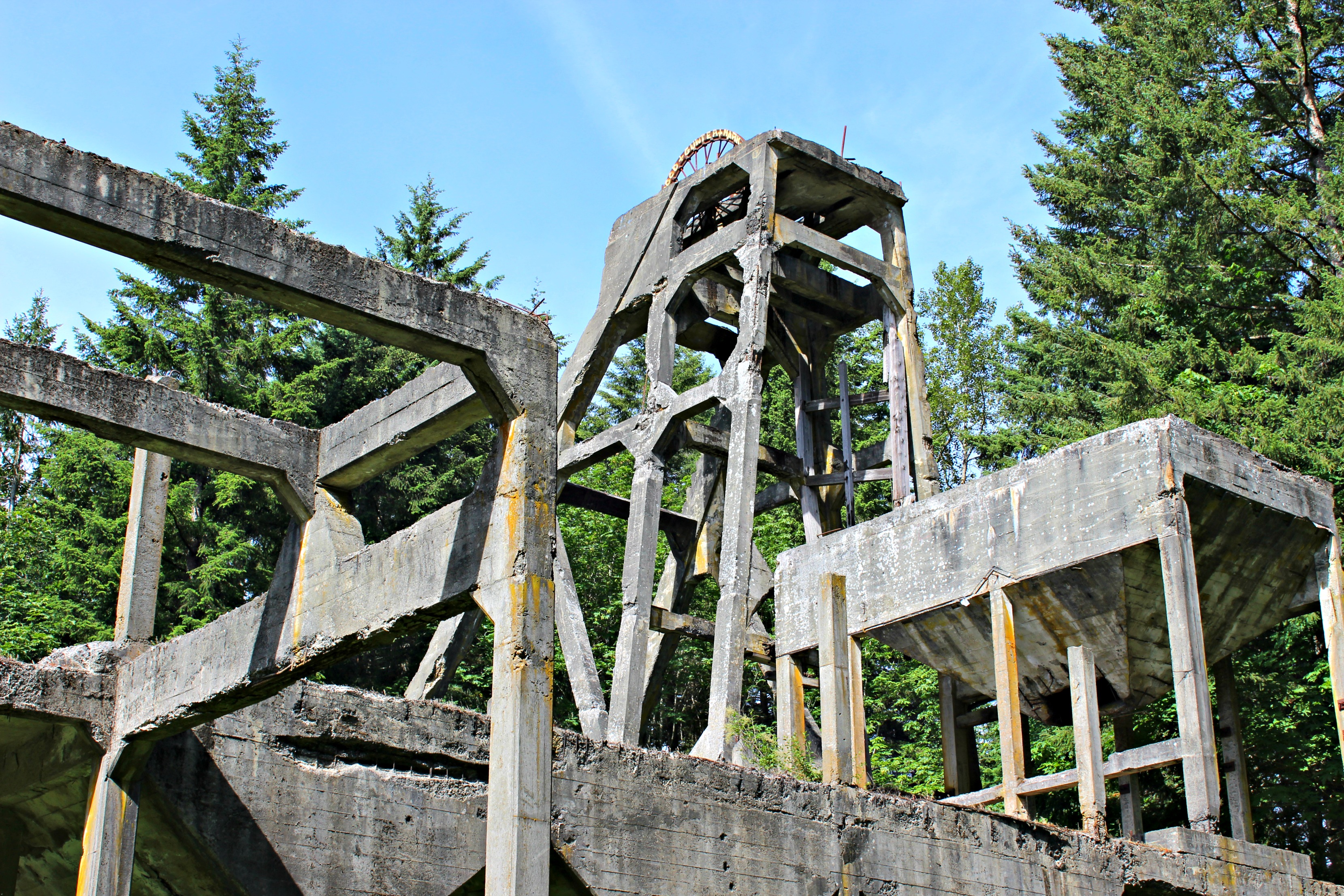 5 Unique Locations to Explore in Nanaimo, BC