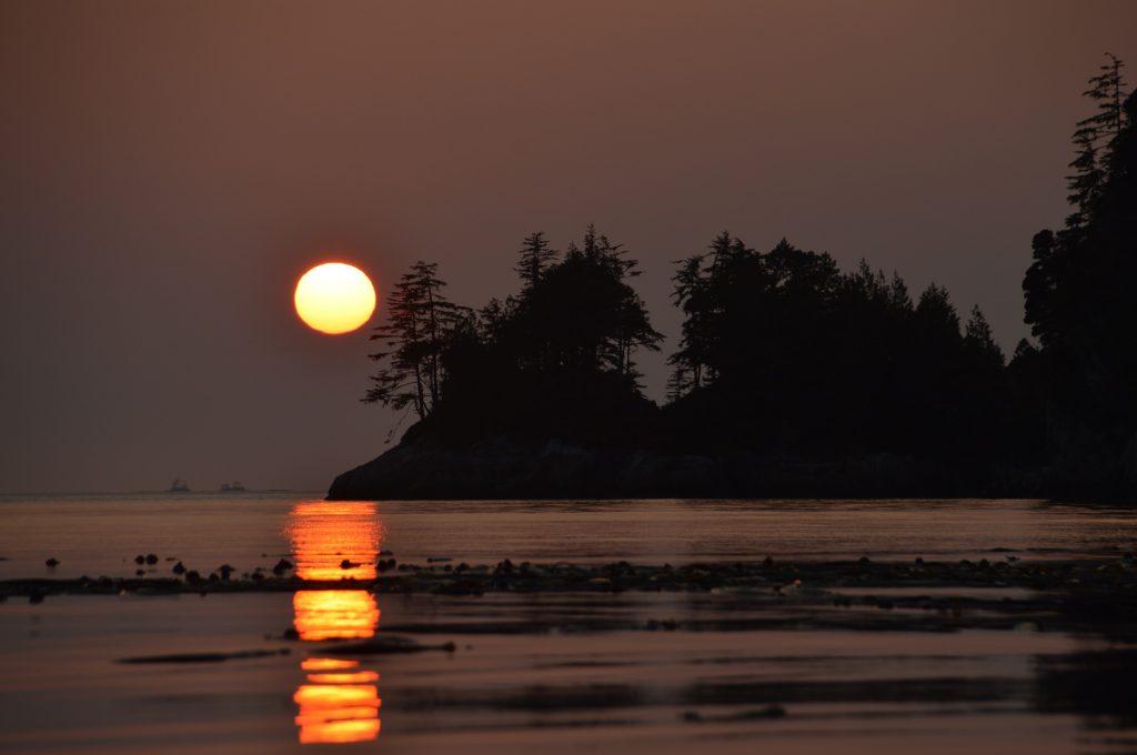 Owl Island Sunset | Kim Campbell-Walker