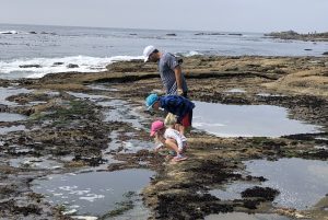 Exploring Tide Pools at Botanical Beach, Port Renfrew