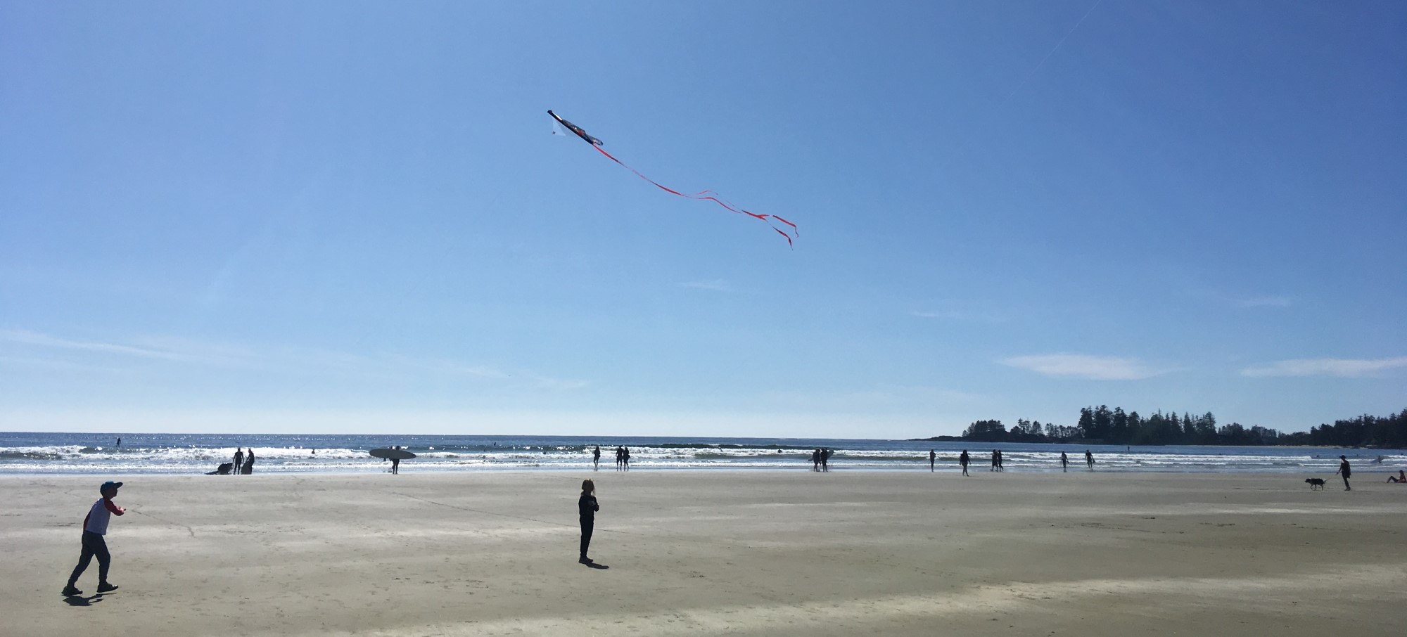 Tofino, BC – A Bucket List Trip