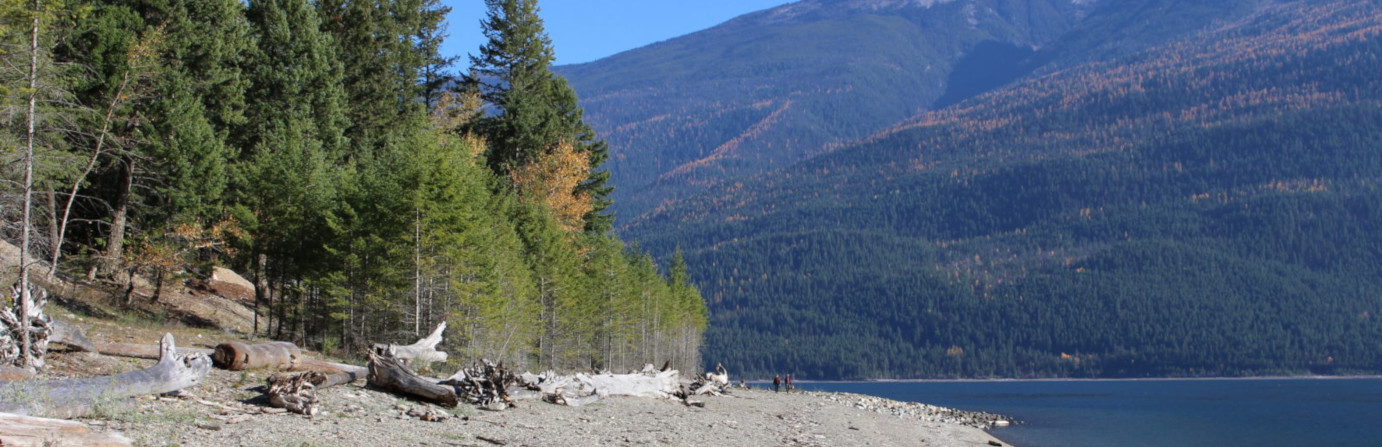 Kootenay Lake Provincial Park - Davis Creek Campground