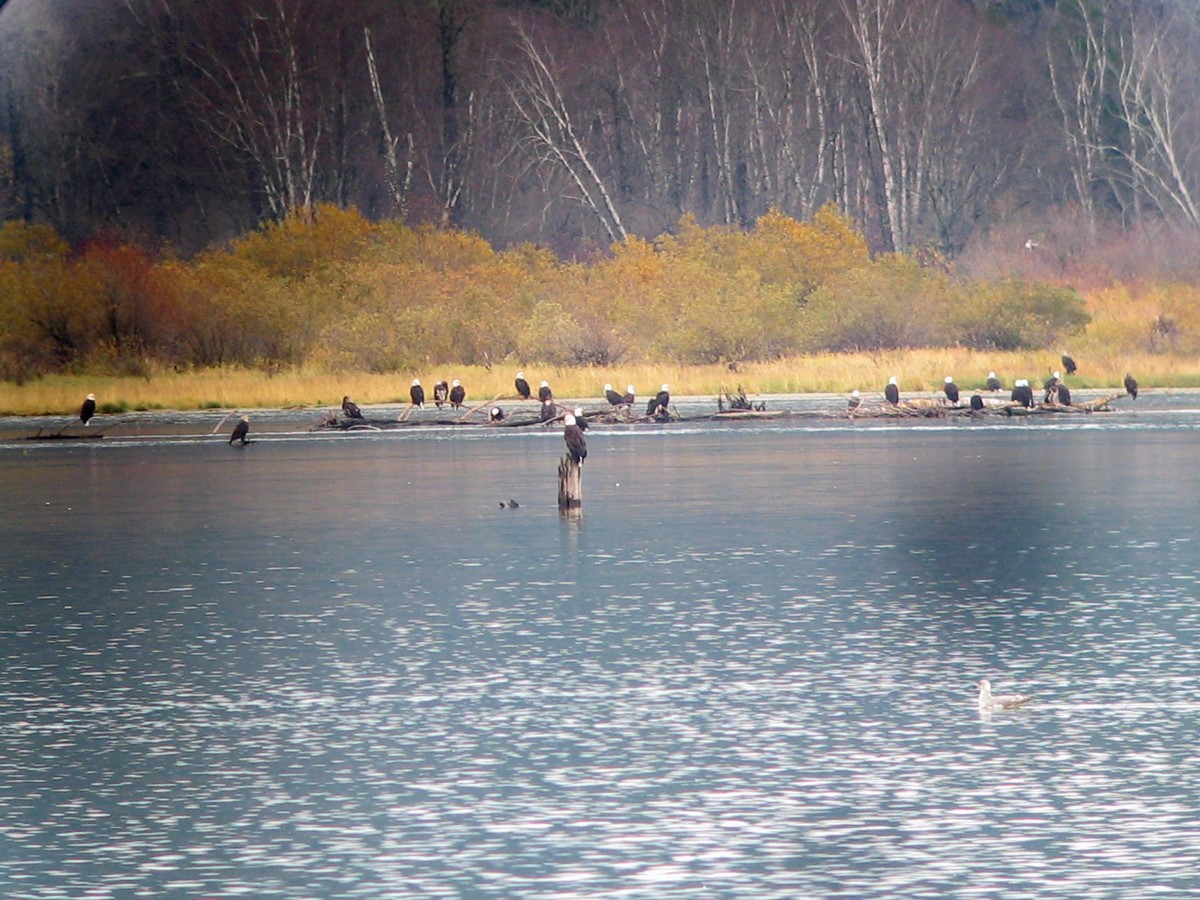 Snowbirds! Spending Your Winter in the Vancouver Area? Check Out These Side Trips