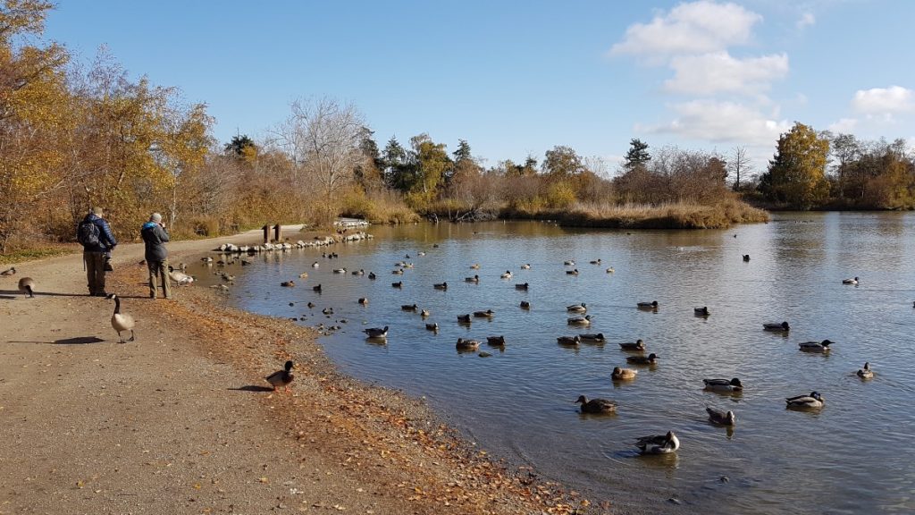 Explore the Communities South of Vancouver and the Fraser Valley