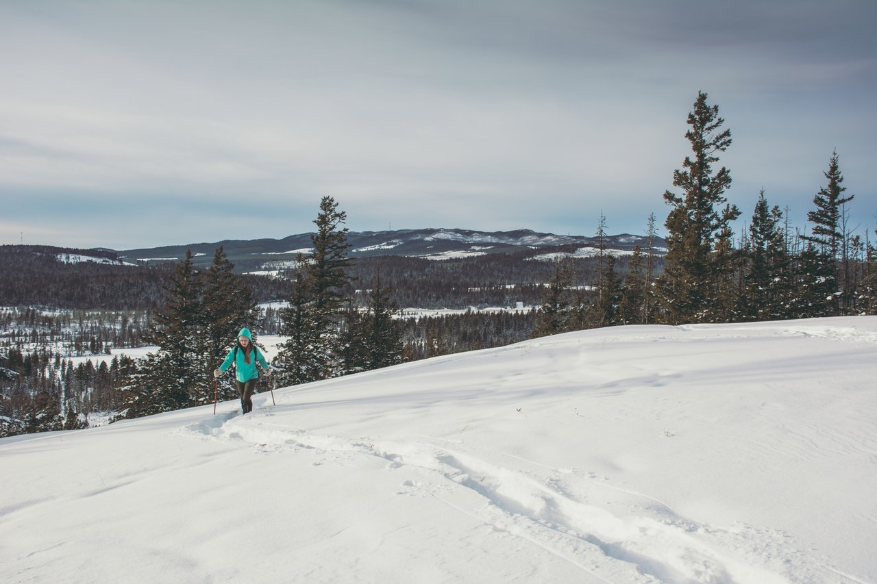 Getting back to Nature Any Time of Year