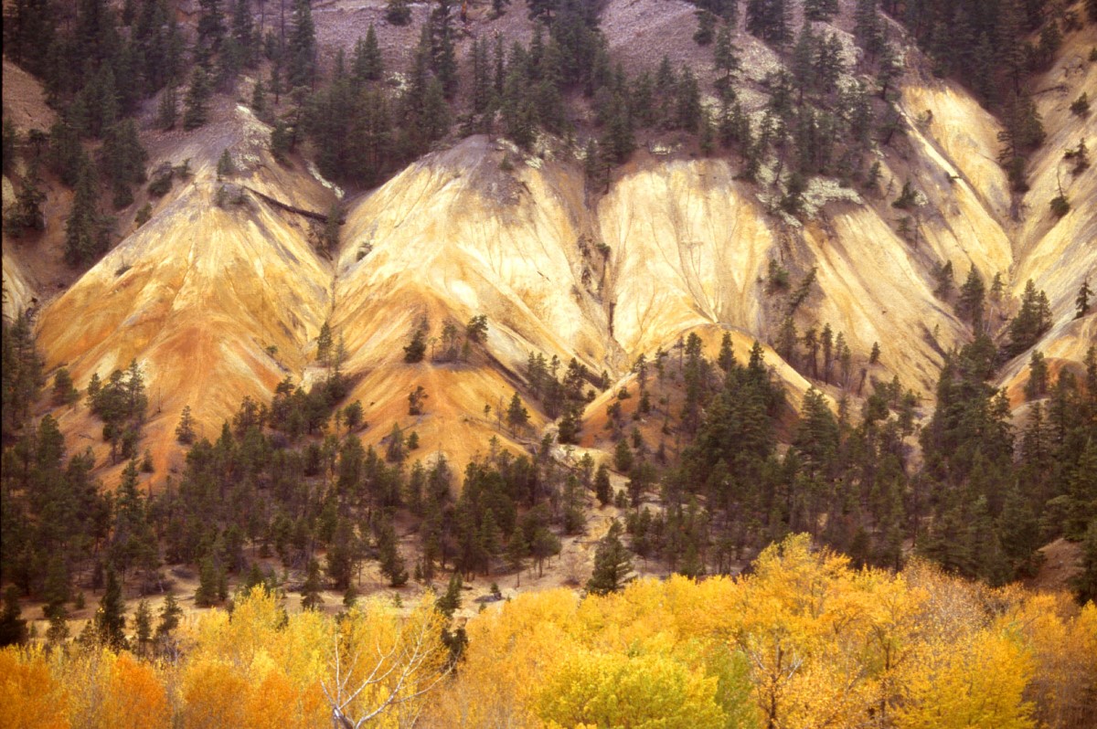 Following the Gold Rush Trail through British Columbia’s Cariboo & Beyond