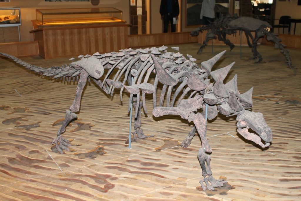 Tumbler Ridge Global Geopark, Dinosaur research centre 5191