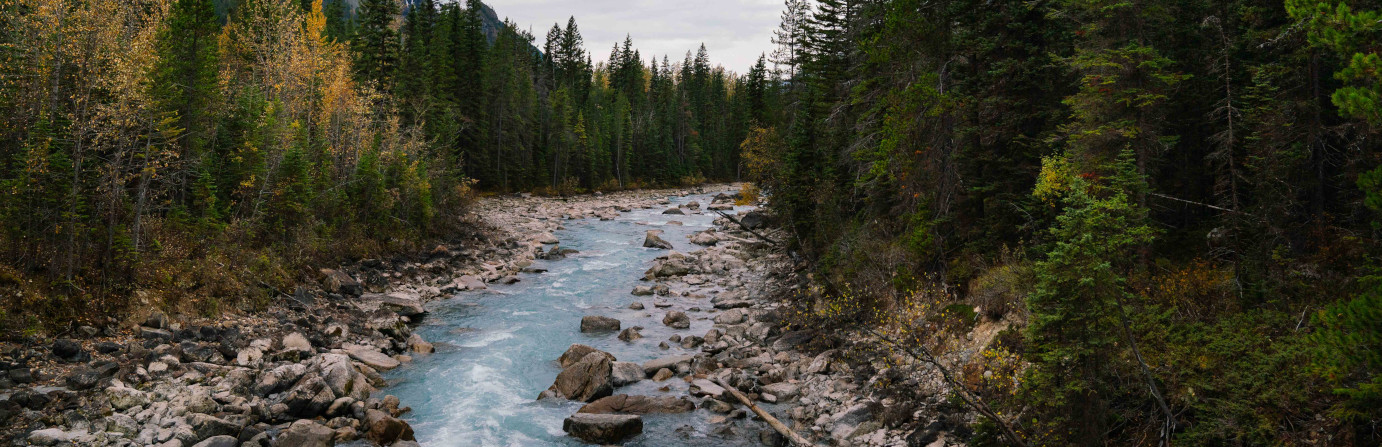 Yoho National Park, Monarch Campground